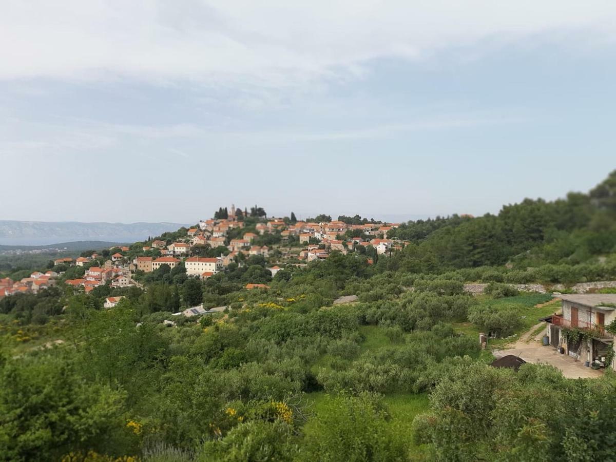 Kuca Za Odmor Dobrila Hotel Jelsa  Kültér fotó